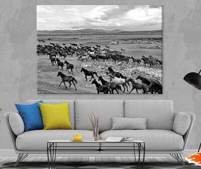 Wild Horse Herd View B&W Photograph Print 100% Australian Made