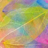 Bella Home Colored Leafs Floral Pattern Design Print Canvas Ready to hang - Image 3
