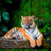 Beautiful Bengal Tiger with Lush Green Habitat Background Wall Art Decor 100% Australian Made - Image 3