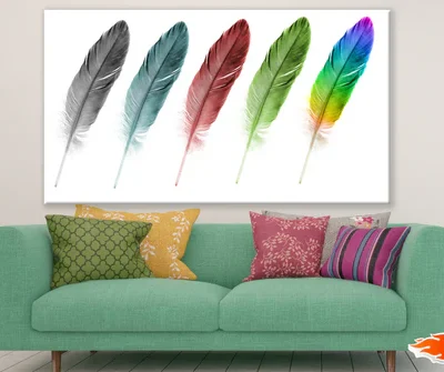 Colourful Feathers Photograph Print 100% Australian Made