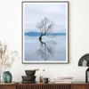 Wanaka Tree in Lake Photograph New Zealand Home Decor Premium Quality Poster Print Choose Your Sizes - Image 2