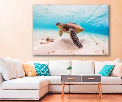 Bella Home Hawaiian Turtle Under Water Print Canvas Ready to hang