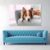 Dog Is Laying on A Blue Chair Acrylic Glass Print Tempered Glass Wall Art 100% Made in Australia Ready to Hang - Image 3