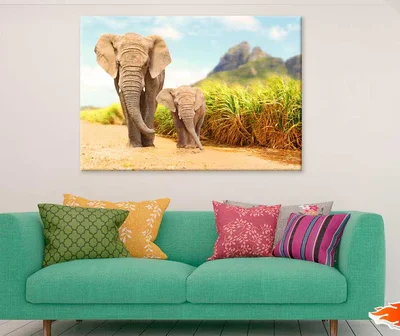African Bush Elephants Walking on Road Photograph Print 100% Australian Made