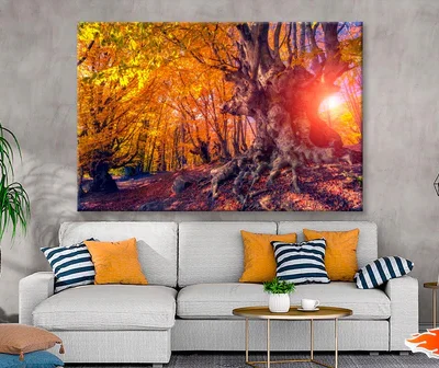 Autumn Trees Glowing by Sunlight Wall Art Decor 100% Australian Made