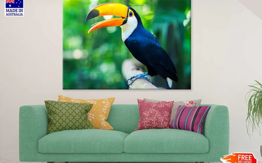 Toucan Bird View Photograph Print 100% Australian Made