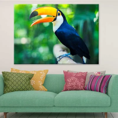 Toucan Bird View Photograph Print 100% Australian Made