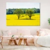 Trees on Yellow Flower Field Scenery Photograph Print 100% Australian Made