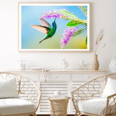 Hummingbird Violet Sabrewing Flying Home Decor Premium Quality Poster Print Choose Your Sizes