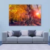 Autumn Trees Glowing by Sunlight Acrylic Glass Print Tempered Glass Wall Art 100% Made in Australia Ready to Hang