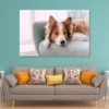 Dog Is Laying on A Blue Chair Acrylic Glass Print Tempered Glass Wall Art 100% Made in Australia Ready to Hang - Image 2