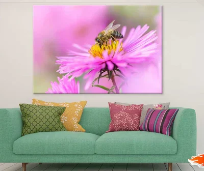 Bee On Pink Daisy Flower View Photograph Print 100% Australian Made