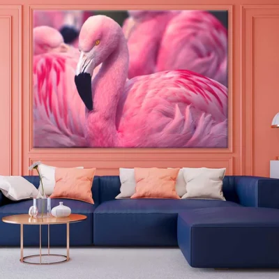 Pink Chilean Flamingo Photograph Print 100% Australian Made