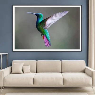Green-Breasted Mango Female Home Decor Premium Quality Poster Print Choose Your Sizes