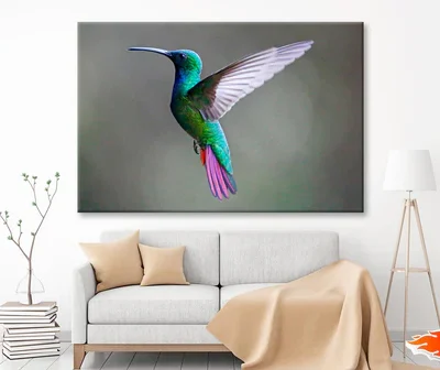 Green-Breasted Mango Female Wall Art Decor 100% Australian Made