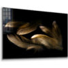 Brown Feathers on Dark Print Tempered Glass Wall Art 100% Made in Australia Ready to Hang - Image 2