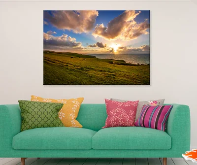Cow Herd & Grassess Sunset View Photograph Print 100% Australian Made