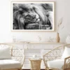 Laying Lion B&W View Photograph Home Decor Premium Quality Poster Print Choose Your Sizes - Image 2