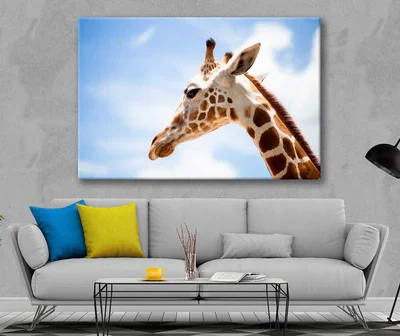 Bella Home Giraffe Closeup View & Blue Sky Print Canvas Ready to hang