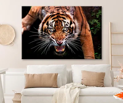 Wild Tiger Face Closeup Wall Art Decor 100% Australian Made