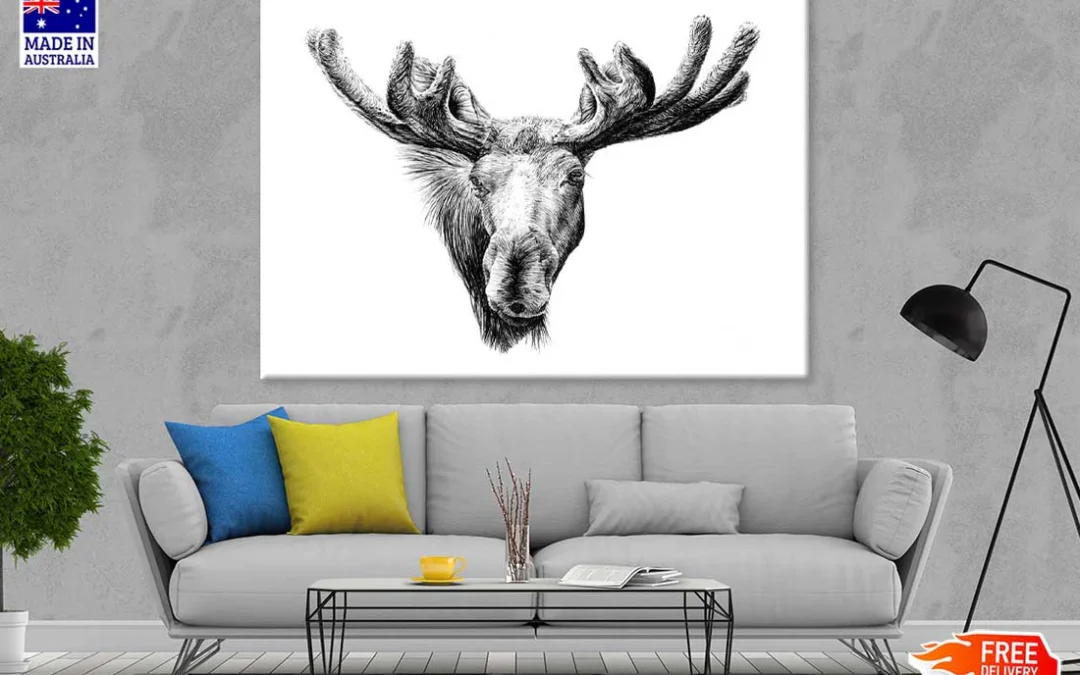 Moose Face Drawing Photograph Print 100% Australian Made