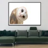 White and Brown Barn Owl Resting Home Decor Premium Quality Poster Print Choose Your Sizes