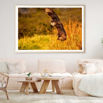 Flying Owl on Field Photograph Home Decor Premium Quality Poster Print Choose Your Sizes