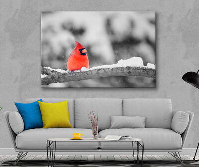 Bella Home Cardinal Bird on Snow Branch Print Canvas Ready to hang