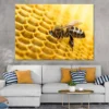 Bee Make Honey View Photograph Print 100% Australian Made