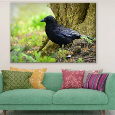 Crow Bird Closeup Photograph Print 100% Australian Made