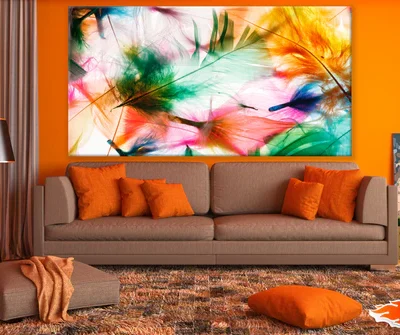 Colourfrul Feathers Photograph Print 100% Australian Made