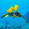 Bella Home Turtle with Yellow Coral Fish Print Canvas Ready to hang - Image 3