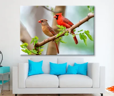 Northern Cardinal Pair in Spring Wall Art Decor 100% Australian Made
