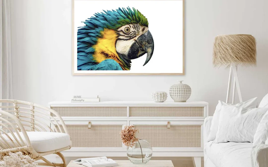 Parrot Closeup Side View Photograph Home Decor Premium Quality Poster Print Choose Your Sizes