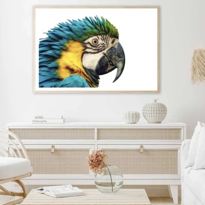 Parrot Closeup Side View Photograph Home Decor Premium Quality Poster Print Choose Your Sizes