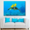 Bella Home Turtle with Yellow Coral Fish Print Canvas Ready to hang