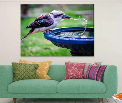 Kookaburra Drinking Water View Photograph Print 100% Australian Made
