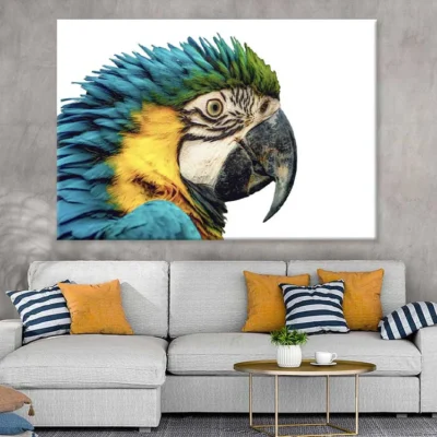 Par Parrot Closeup Side View Photograph Print 100% Australian Made