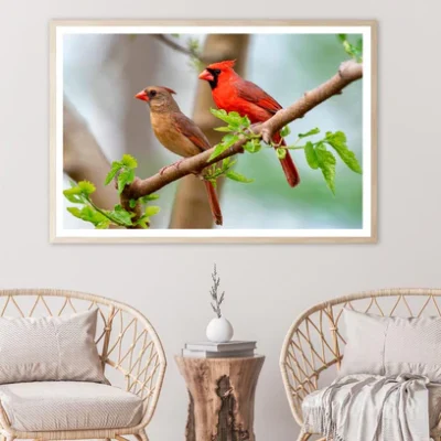 Northern Cardinal Pair in Spring Home Decor Premium Quality Poster Print Choose Your Sizes