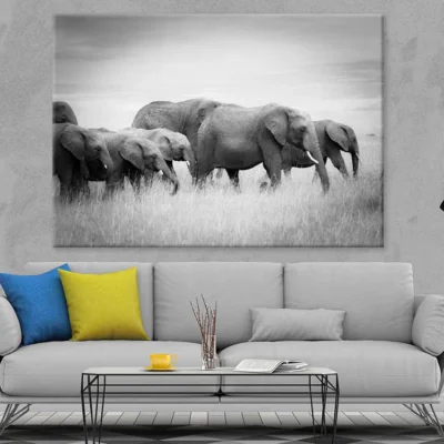 Elephants on Grass Field B&W View Photograph Print 100% Australian Made