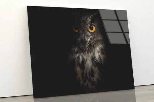 Eurasian Eagle – Owl with Black Acrylic Glass Print Tempered Glass Wall Art 100% Made in Australia Ready to Hang