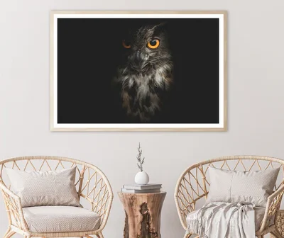 Eurasian Eagle - Owl with Black Home Decor Premium Quality Poster Print Choose Your Sizes