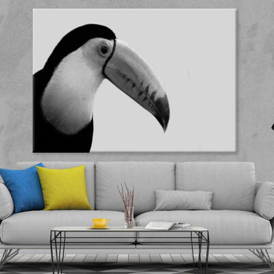 Toco Toucan Bird B&W Photograph Print 100% Australian Made
