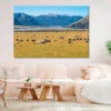 Sheep on Grass Field & Mountains Scenery Photograph Print 100% Australian Made - Image 2
