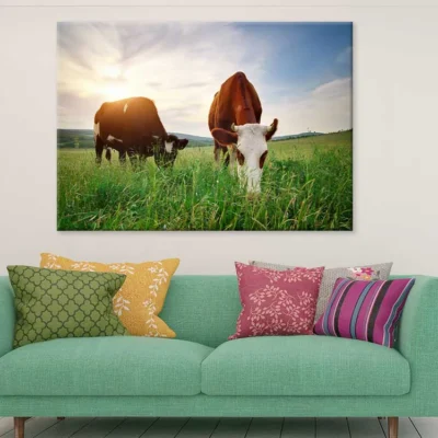 Cows on Grass Field Photograph Print 100% Australian Made