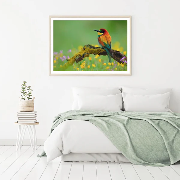 Colorful Bird On Flower Field Home Decor Premium Quality Poster Print Choose Your Sizes