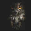 Eurasian Eagle - Owl with Black Home Decor Premium Quality Poster Print Choose Your Sizes - Image 4
