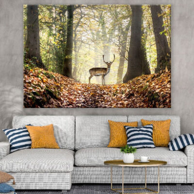 Deer in Autumn Forest Photograph Print 100% Australian Made