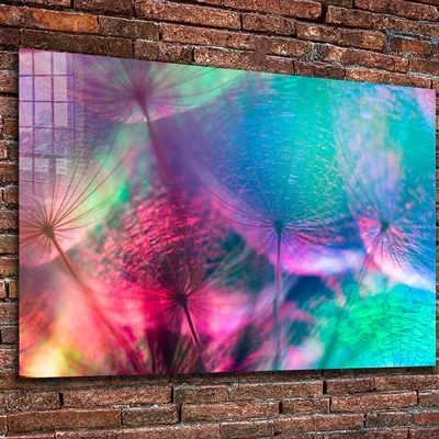 Dandelion Abstract Print Tempered Glass Wall Art 100% Made in Australia Ready to Hang