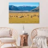 Sheep on Grass Field & Mountains Scenery Photograph Print 100% Australian Made